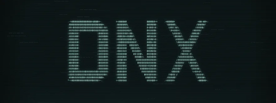 DNX
